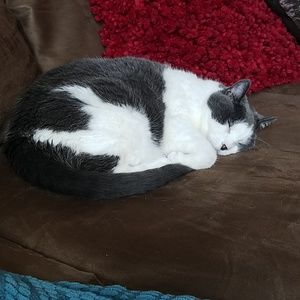 Meet your Posher, Scott